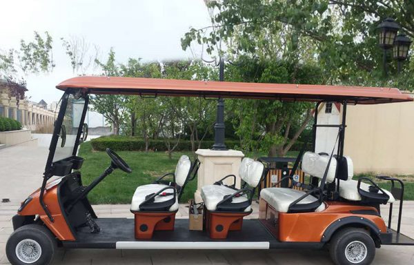 Electric Golf Carts L6A Orange