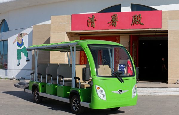 Electric Sightseeing Cars A14 Green