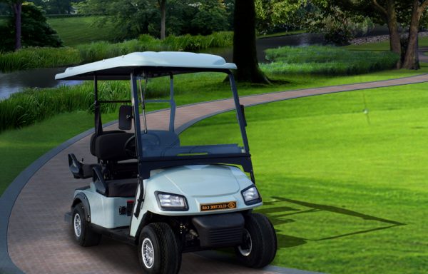 01 - Electric Golf Carts