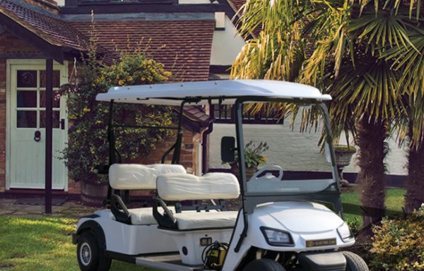 05 – Electric Golf Carts L4