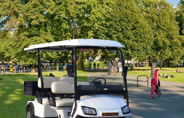06 – Electric Golf Carts L4B